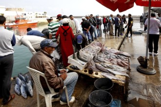 Fish market at the harbour with hustle and bustle and fish sales under red umbrellas, El Jadida,