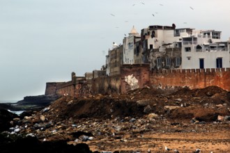 Impressive city walls of Essaouira on the rocky coast, Essaouira, Morocco