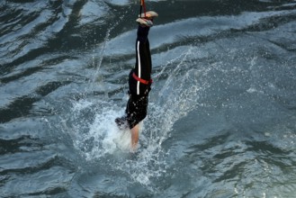 Springer dives head first into water and creates a water fountain, Queenstown, Otago, New Zealand