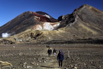Hikers on Tongariro Alpine Crossing with views of Mount Tongariro and Mount Ngauruhoe, Tongariro