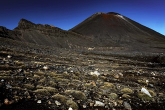 View of the barren landscapes of Mount Tongariro, Tongariro National Park, North Island, New