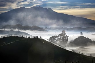 Morning fog envelops rolling hills and shimmers between fences and mountains in the distant