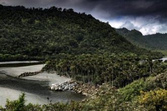 Wilderness with thick forests and a beach on an impetuous estuary