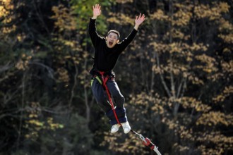 Jumpers in the air bungee jumping from Kawarau Bridge amidst autumn trees, Queenstown, Kawarau