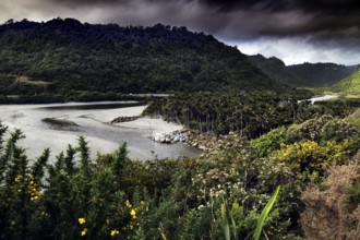 Lush vegetation and river course on a cloudy day in Punakaiki, Punakaiki, West Coast, New Zealand