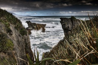 Rocks and ocean vegetation at Pancake Rocks, Punakaiki, West Coast, New Zealand