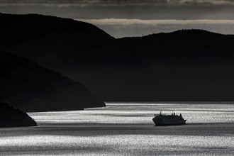 A ferry in the black silhouette of New Zealand waterways, Queen Charlotte Sound, Marlborough, New