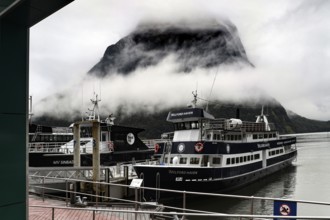 Cruise ship in Milford Sound terminal surrounded by misty mountains, Milford Sound, New Zealand