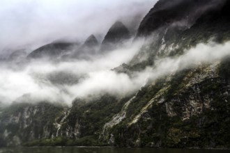 Steep, misty rocks in Milford Sound, crisscrossed by thick clouds and lush greenery, zero