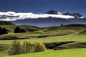 Majestic Mount Ruapehu rises over greenish hills under dramatic skies, Mount Ruapehu, New Zealand