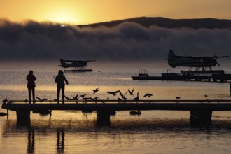 A seaplane on Lake Rotorua at sunrise, with silhouettes of people and birds on the dock, Rotorua,