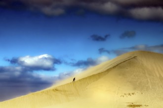 Majestic sand dune under a bright blue sky with clouds, Ninety Mile Beach, Te Paki, New Zealand