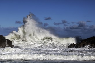 Impressive waves crash on the coast of Piha Beach, Piha Beach, region, New Zealand