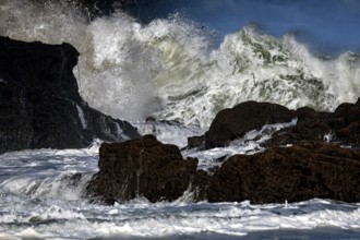 Heavy surf on the coast of Piha Beach with big waves, Piha Beach, region, New Zealand