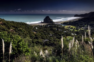 View of Piha Beach surrounded by lush nature and ocean views, Piha Beach, region, New Zealand