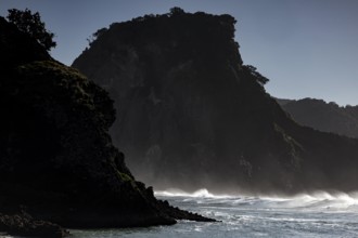 Impressive rock formation at Piha Beach in dramatic light, Piha Beach, region, New Zealand