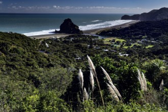 View of Piha Beach with rocky cliffs and green hills, zero