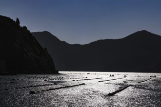 Greenshell mussel farming in Pelorus Sound during a night panorama