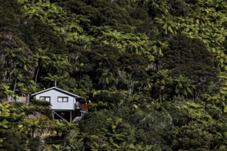 Lonely house nestled in the thick forest of Pelorus Sound