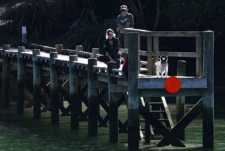 People and a dog on a pier at Pelorus Mailrun with red warning sign