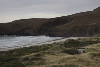 Coastal landscape with rolling dunes and ocean views on the Otago Peninsula, Otago Peninsula, New