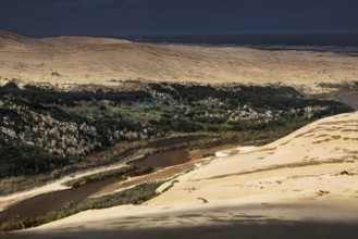 View of rolling sand dunes with strips of vegetation and wide horizons, Ninety Mile Beach, New