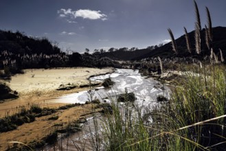 Small river meanders through a sandy landscape with thick vegetation