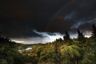 Scenic view of forest and Mount Taranaki near Lake Mangamahoe with rainbow, zero