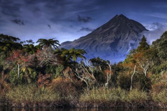 The summit of Mount Taranaki rises above the autumn-colored forest at Lake Mangamahoe, New