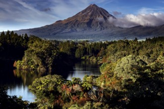 Mount Taranaki is reflected in tranquil Lake Mangamahoe, framed by thick forests, New Zealand, zero
