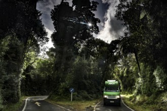 A green Jucy camper on a shady road in Mt Egmont National Park surrounded by tall trees, Taranaki,