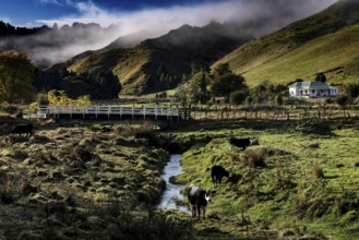 View of a picturesque landscape with river and bridge along the Forgotten World Highway in New