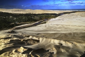 Dune landscape with wide views, sand structures and blue sky, Ninety Mile Beach, New Zealand