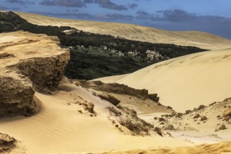 Rugged sand dunes and rocky landscape under clear skies, Ninety Mile Beach, New Zealand
