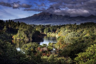 View of Lake Mangamahoe with Mount Taranaki in the background. Dreamy landscape with forest and