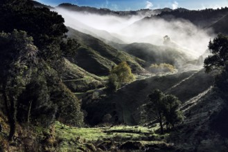 Sunlight breaks through morning haze over the hilly landscape of the Forgotten World Highway, zero