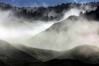 Morning haze on the Forgotten World Highway that bathes the mountains in mysterious light, zero