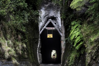 The Moki Tunnel along the Forgotten World Highway, New Zealand, surrounded by thick vegetation,