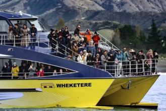 Tourists watch marine life off Kaikoura, Kaikoura, New Zealand on a boat