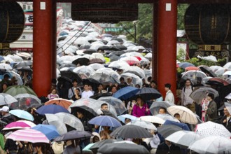 Crowd of people with umbrellas at a traditional festival, Tokyo, Asakusa, Japan
