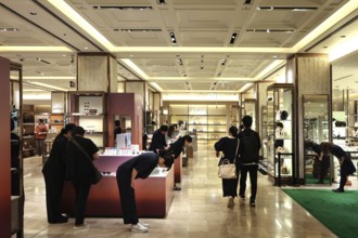 Elegant Mitsukoshi shopping center in Ginza with stylish decor, Tokyo, Tokyo, Japan