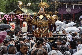 Shelter under umbrellas during the festive Sanja Matsuri with Mikoshi, Tokyo, Asakusa, Japan