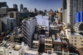 Urban landscape with densely built buildings and urban flair, Tokyo, Hamamatsucho, Japan
