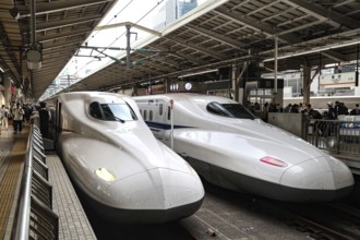 Shinkansen trains at Tokyo Central Station in the Marunouchi area, Tokyo, Kanto, Japan