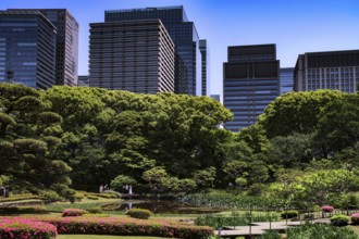 Ninomaru Imperial Palace Garden with modern skyscraper backdrops, Tokyo, Japan