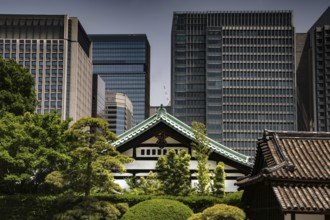 Traditional imperial palace gate in front of modern skyscrapers, Tokyo, Japan