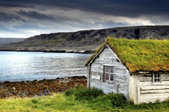 Wooden house with grass roof on the coast of Hamningberg, dramatic sky in the background