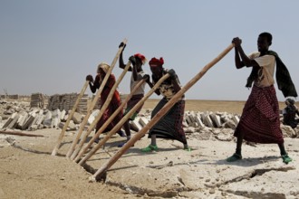 ETH Dallol, salt mining, salt breaker