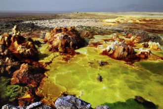 Intensive geothermal landscape with hot mineral pools in Dallol, Dallol, Afar region, Ethiopia