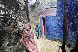 Narrow alley in Harar with eye-catching colors and passers-by, Harar, Ethiopia
